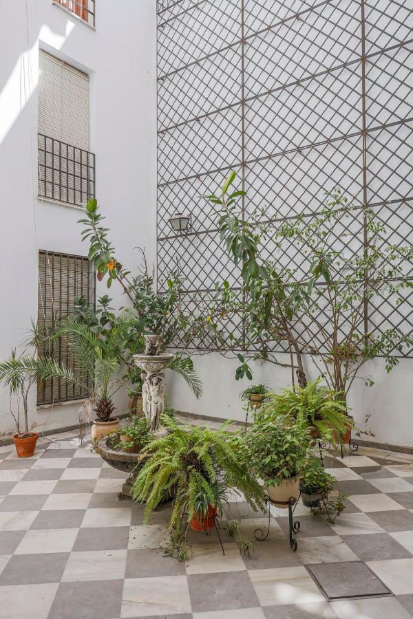 Fantastico Duplex 2 Terrazas 3 Habitaciones 2 Banos Sevilla Exteriér fotografie
